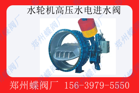 <strong>水輪機（jī）高壓水（shuǐ）電進水閥通常用於什麽場景</strong>