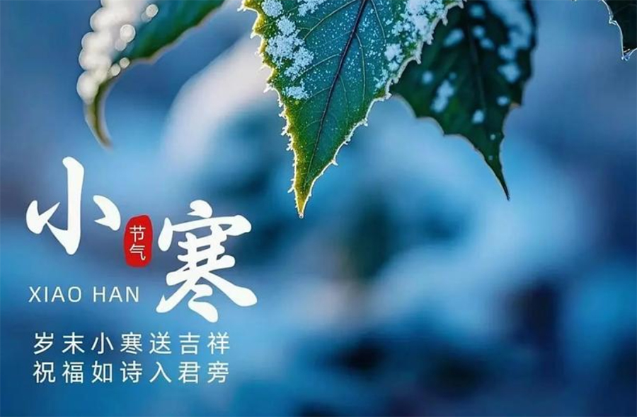 風吹臘梅香，小（xiǎo）寒送吉祥(圖文)